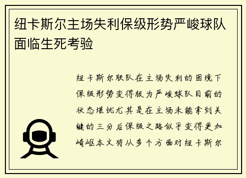 纽卡斯尔主场失利保级形势严峻球队面临生死考验
